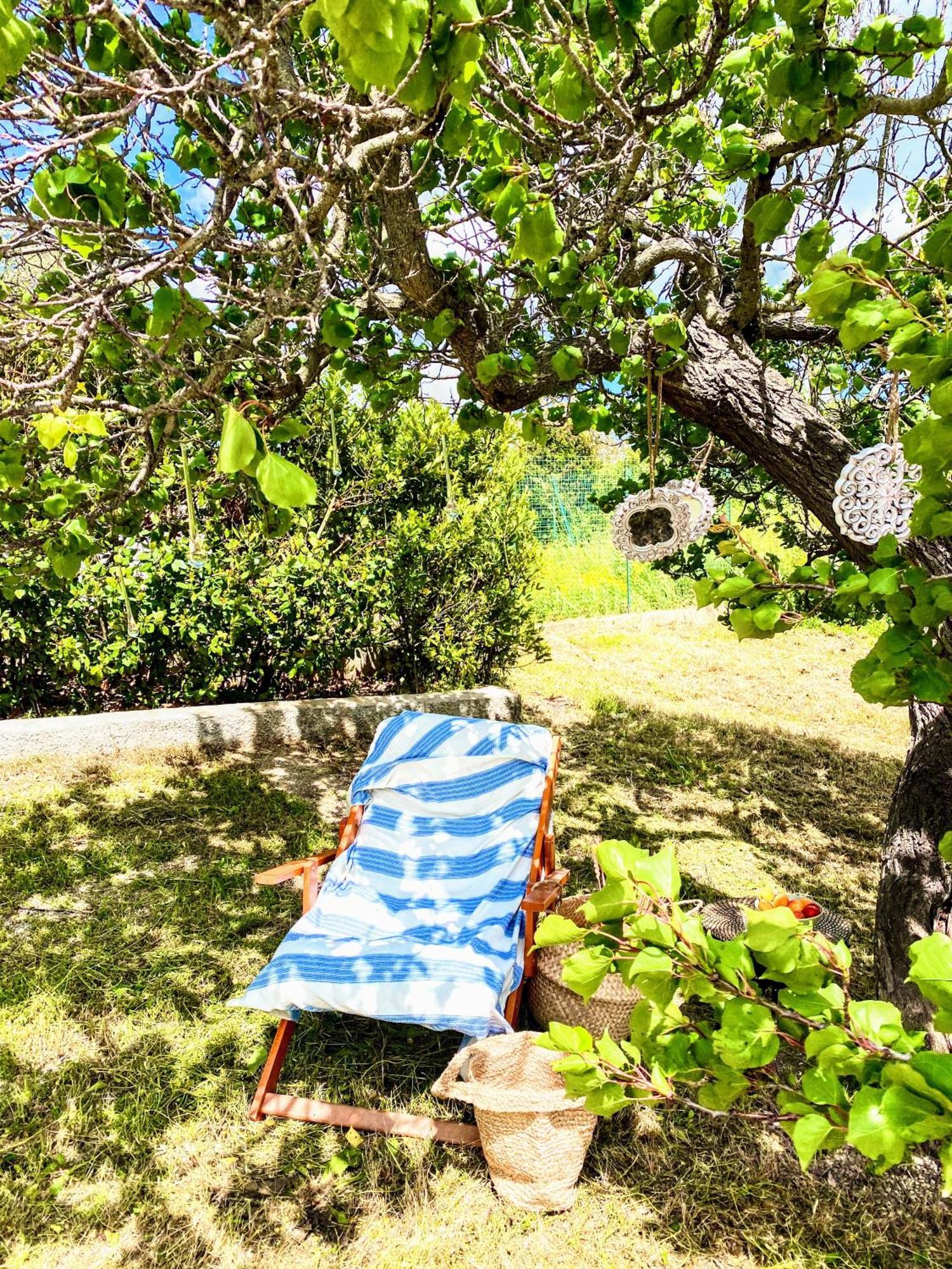 Villa Trulli And Pool - I Cactus Martina Franca Esterno foto